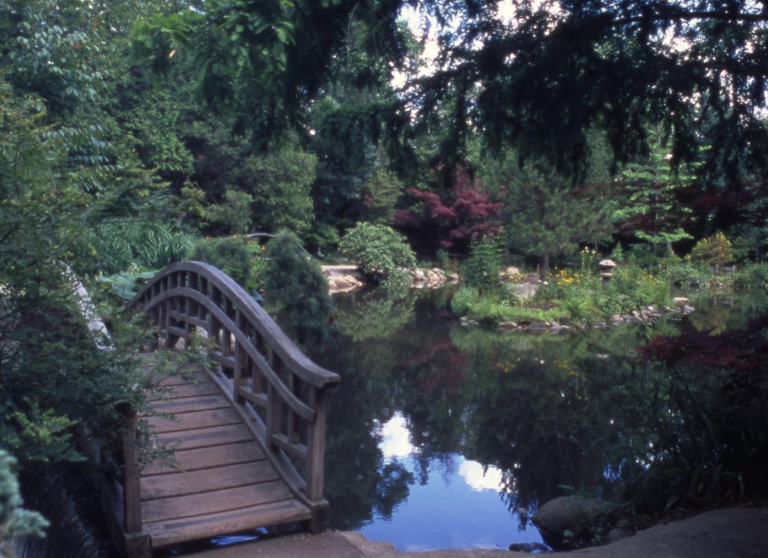 Japanese Garden at Cranbrook, 1980s