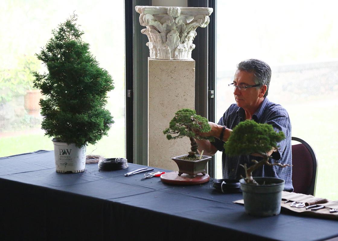 Bonsai demonstration by Jack Sustic