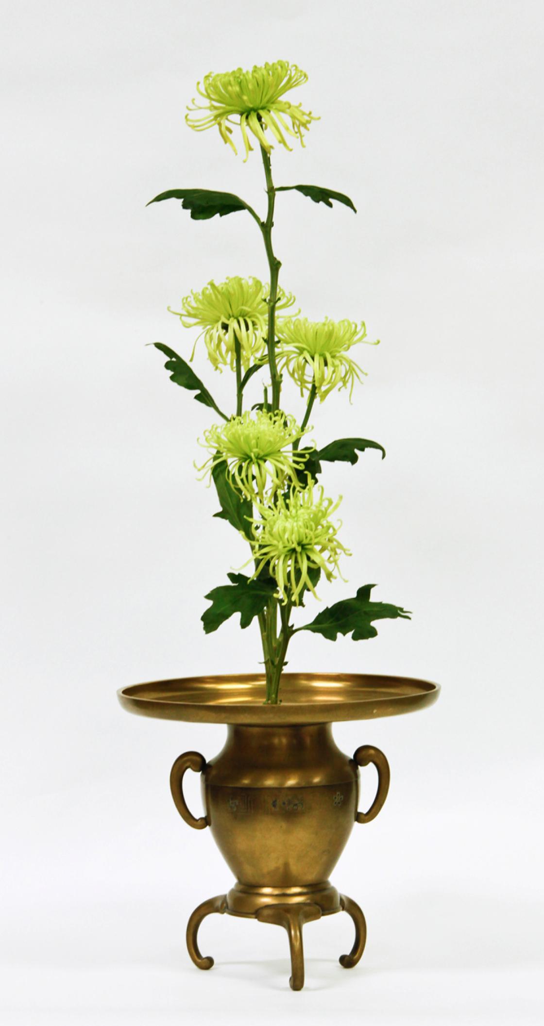 Ikebana arrangement featuring chrysanthemums