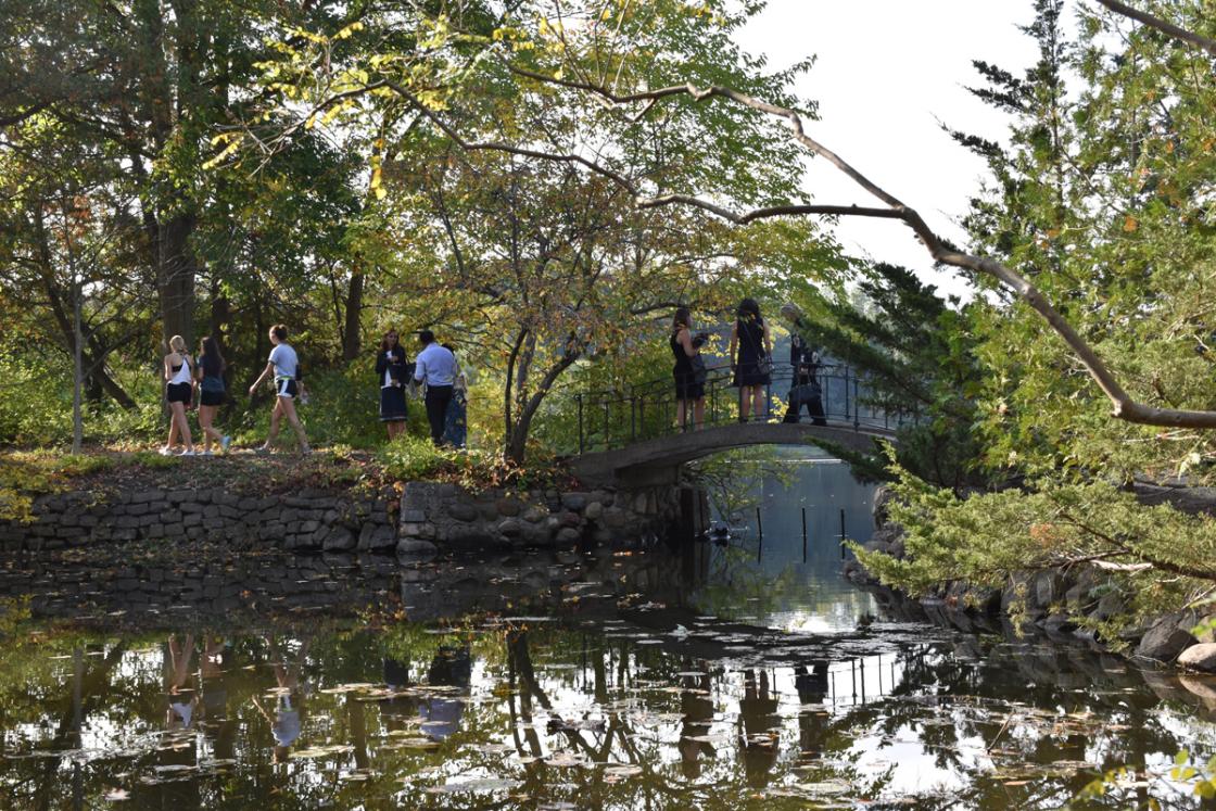 Photograph of people walking on the trail to the Japanese Garden at Cranbrook House & Gardens, October 2018.