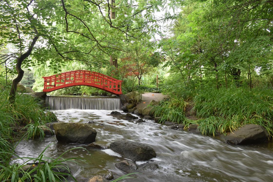 Photograph of the Red Bridge in the Cranbrook Japanese Garden