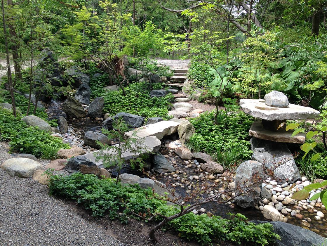 Photograph of the Lily Pond Cascade in the Cranbrook Japanese Garden, June 14, 2019. Photograph by Gregory Wittkopp.