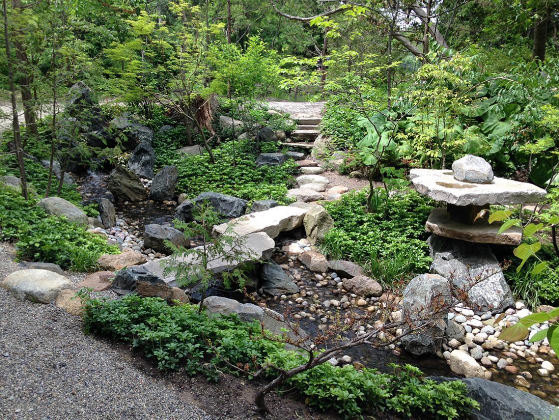 Photograph of the lily pond cascade from Cranbrook's Japanese Garden