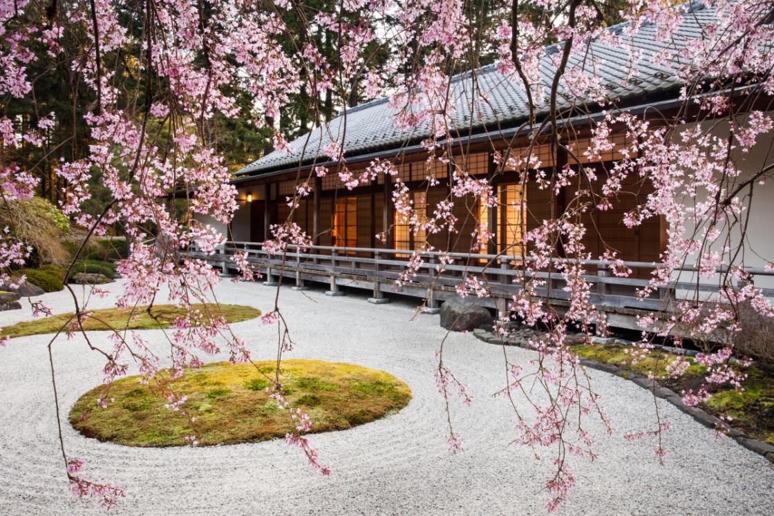 Flat Garden and Pavilion from Beneath the Weeping Cherry. Photo by Jonathan Ley