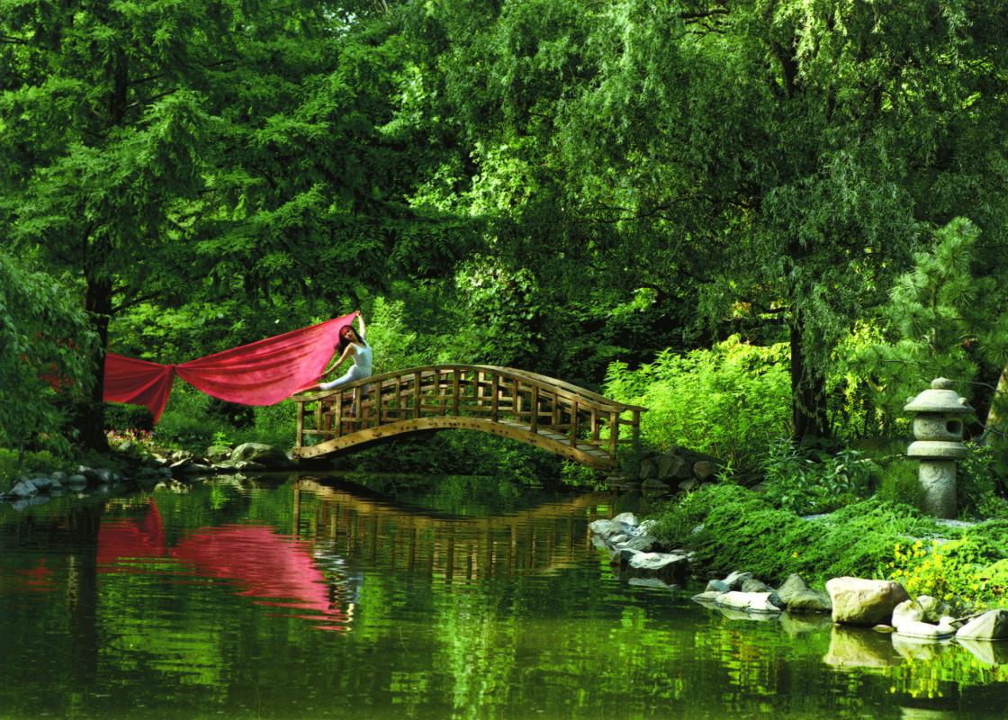 Stripped Japanese Bridge, 1994