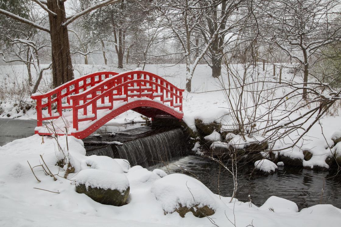 Japanese Bridge in winter