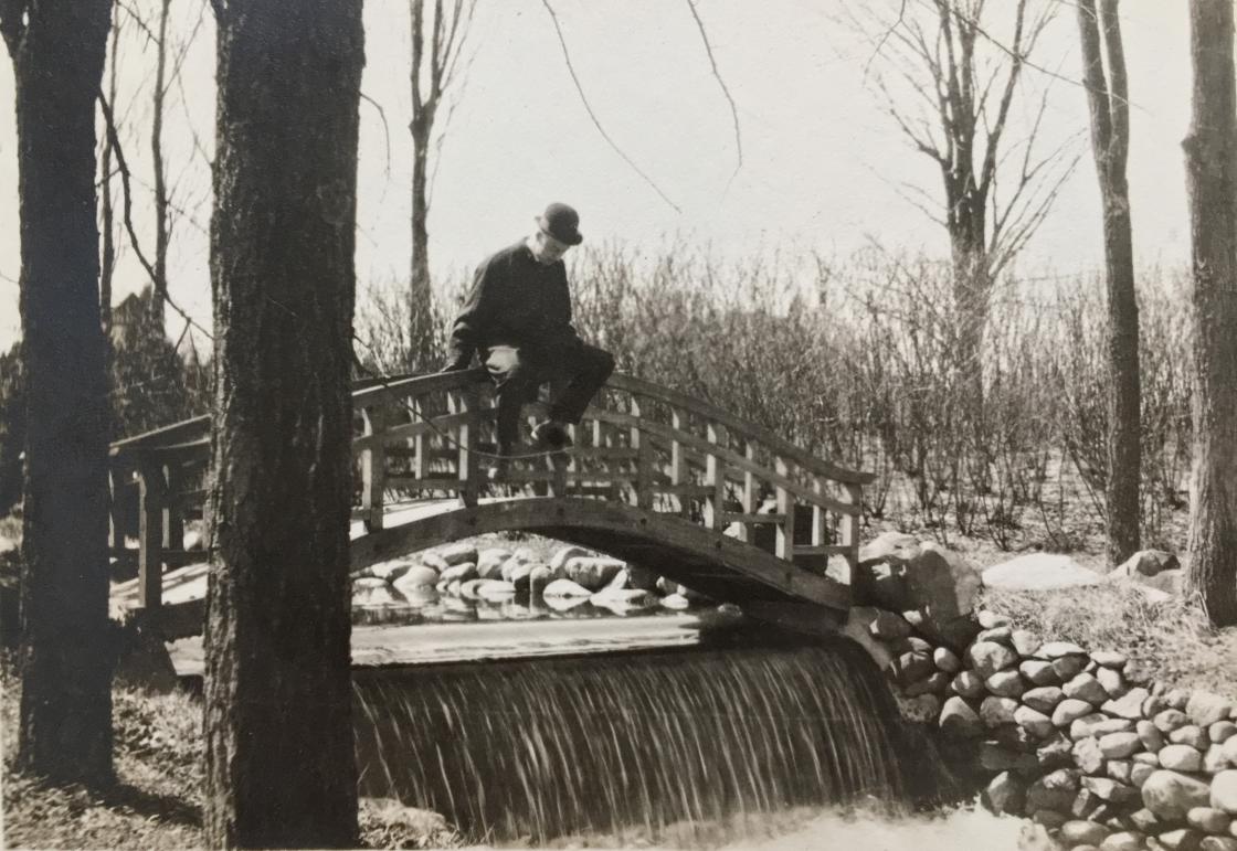 Japanese Bridge at Cranbrook