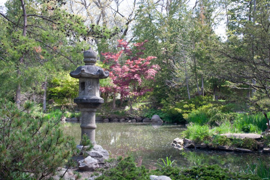 Photograph of the kasuga lantern in the Japanese Garden at Cranbrook House & Garden, May 2017. Photograph by Tom Booth.