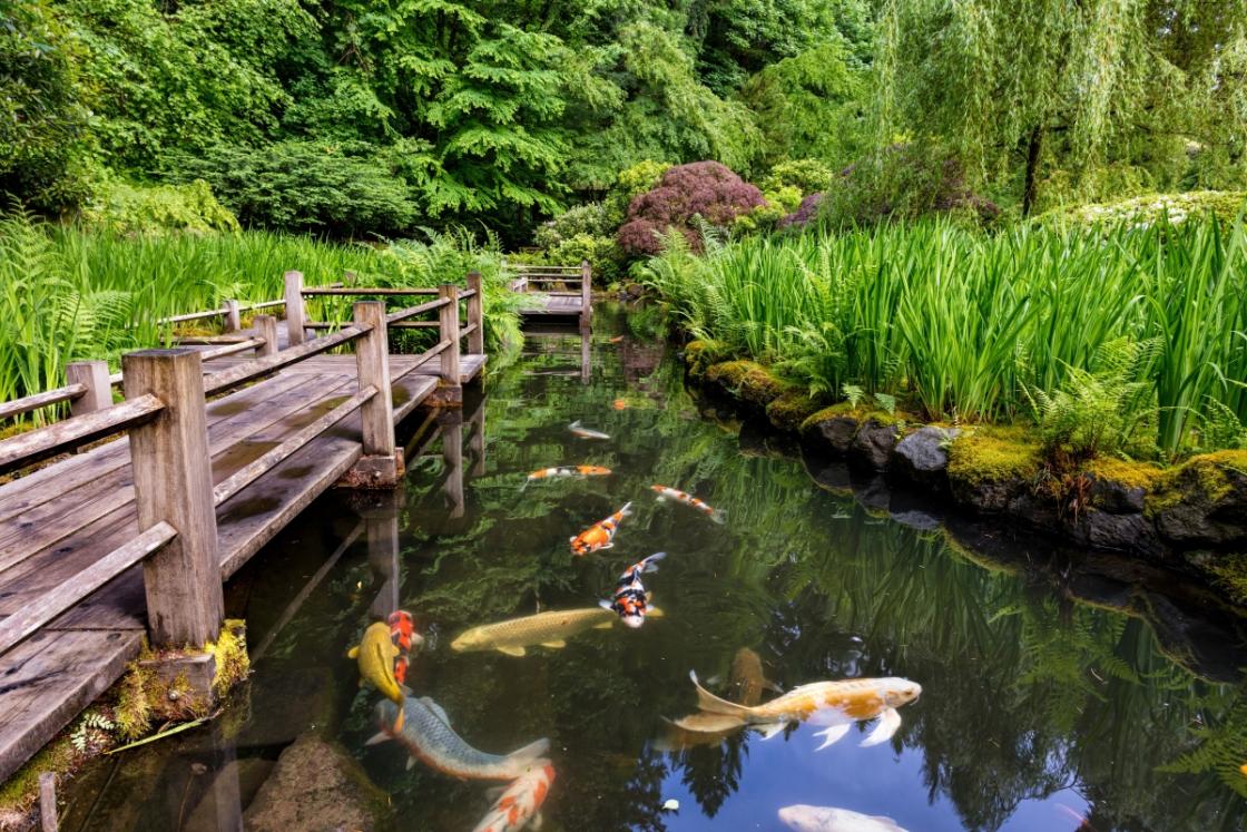 Photograph of the Portland Japanese Garden, May 2017, by Mike Centioli.